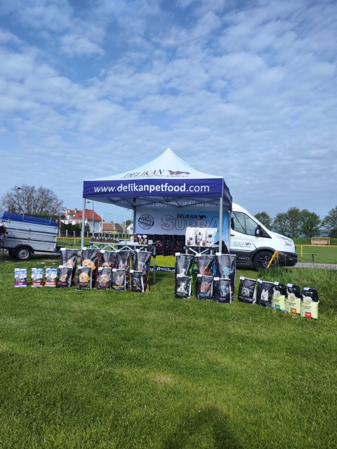 Regional shows and competitions
