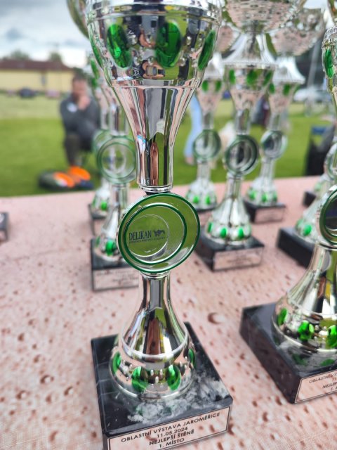 Trofeje DELIKAN