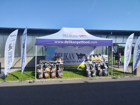 Regional shows and competitions